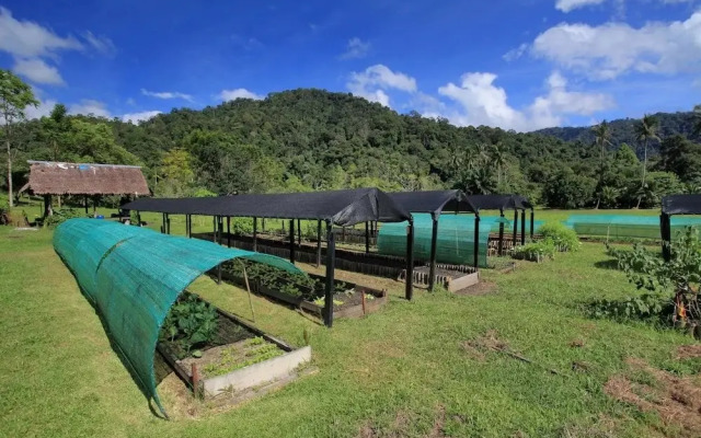 500Rai Farmhouse Khaosok