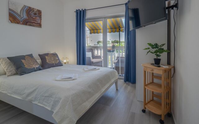 Apartments Domic