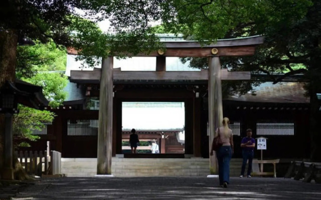 エバーグリーン新宿 リュクス 2m14