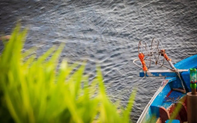 Pohang Bagliore Pension