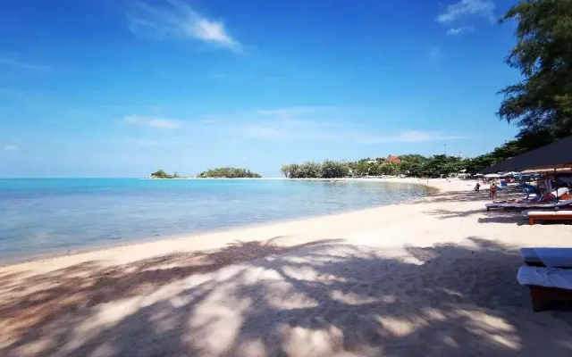 Hi Samui Hostel