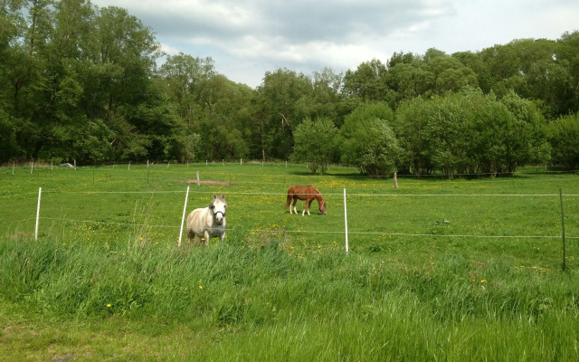 Hotel am Steinertsee - Kassel-Ost