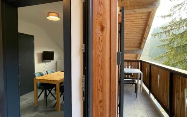 Golte - A2 Apartment - ski in/Out