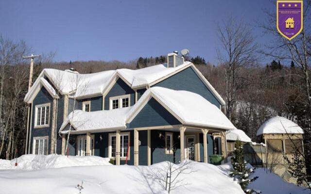 Chalets Alpins - 11 Chemin des Skieurs