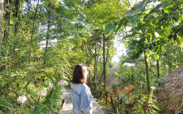 Sapa Jungle Pub  Homestay