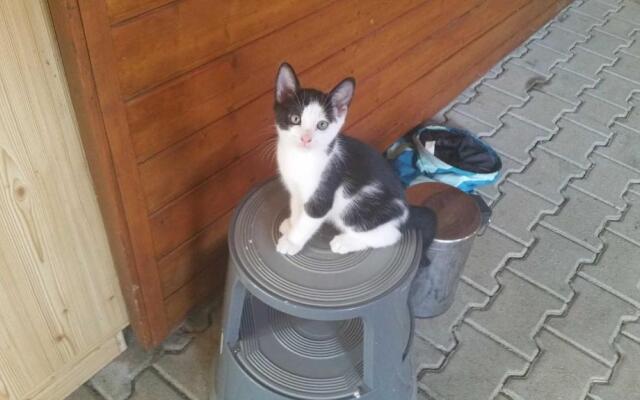 Ferienwohnung Rombachs Spatzennest