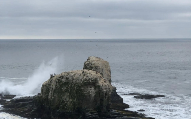 Cabaña Hostal Punta de Lobos - Casa rústica