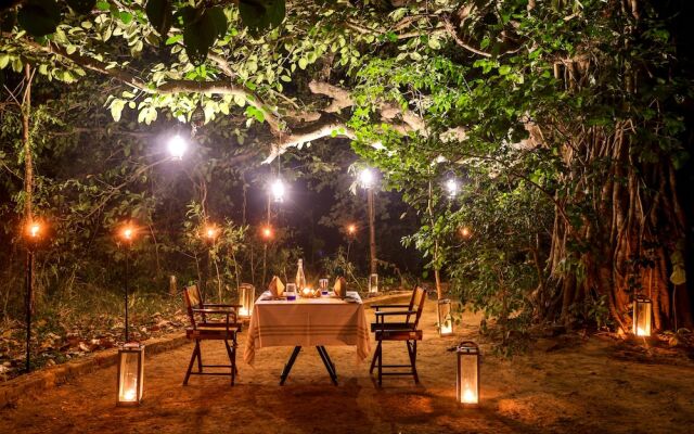 The Untamed Bandhavgarh by TUTC