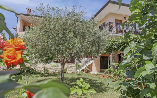 Nina in Rovinj - Istrien