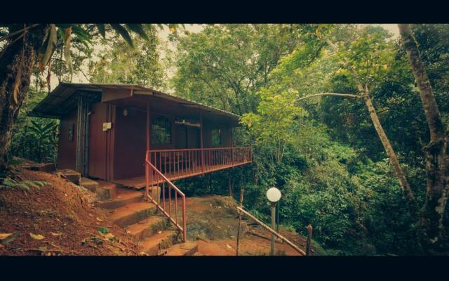 Ela Ecoland Munnar - A Nature Retreat