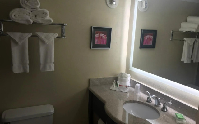 Holiday Inn Orlando East - UCF Area by IHG