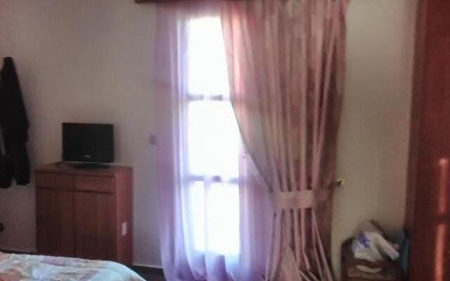 Evangelia Studio