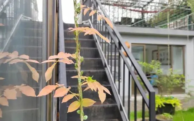 Beijing Xiaoyijia Homestay