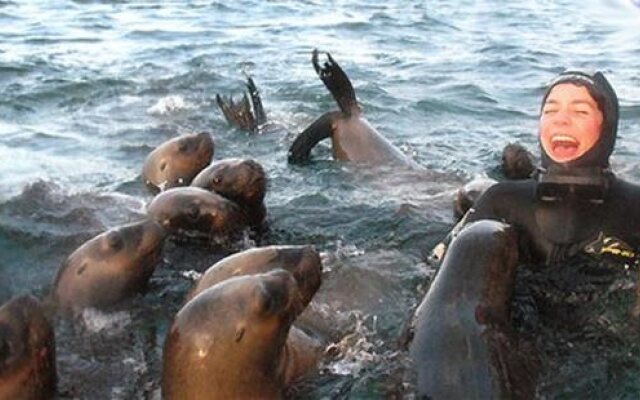 Bahia Delfines