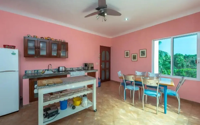 Casa Gatos