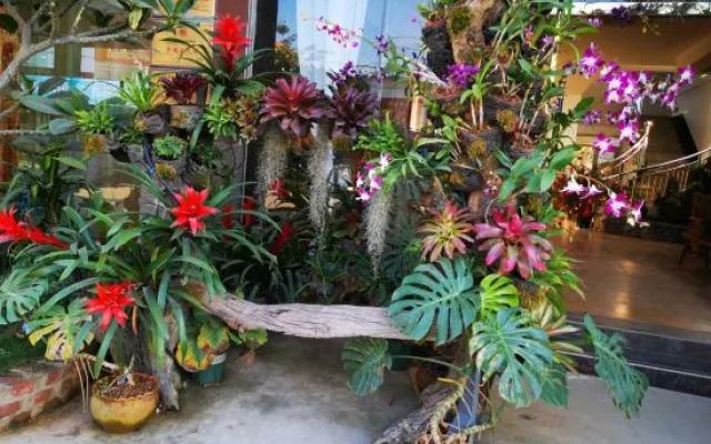 Xishuangbanna Rainforest Flower Valley Hotel (Gasa International Airport)