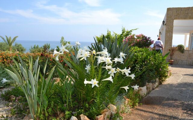 Aphrodite Beach Hotel