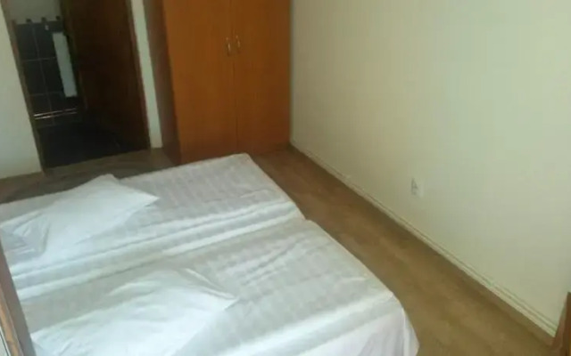 Pensiunea Adi Sapinta