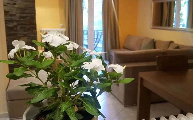 Saint Stephen's apartements at Meteora 3