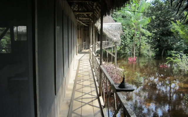 Lodge Jungle Wolf Expeditions
