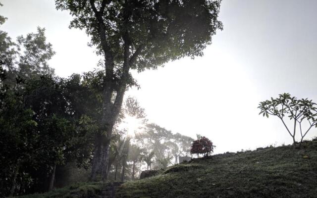 Guddadamane Homestay