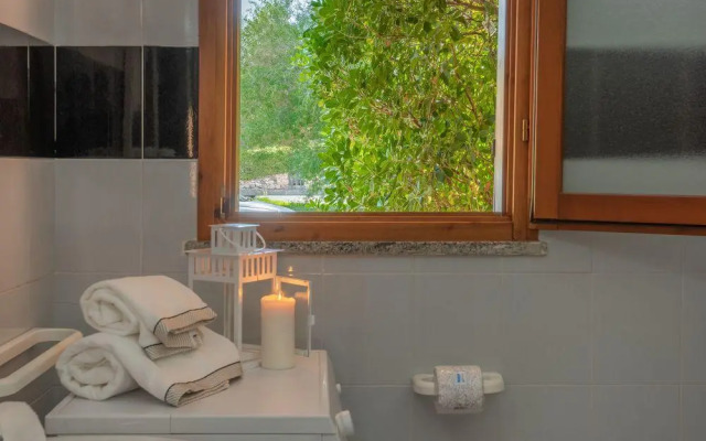 San Teodoro (Apt. 561646)