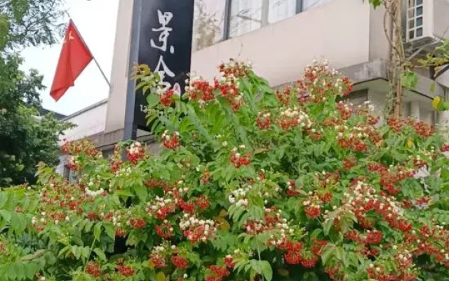 Jingshe Hostel