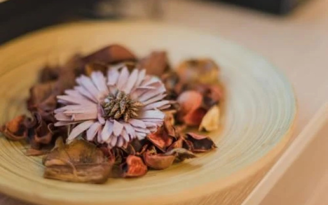 Nine Nights Apartmens On Kalinina 48