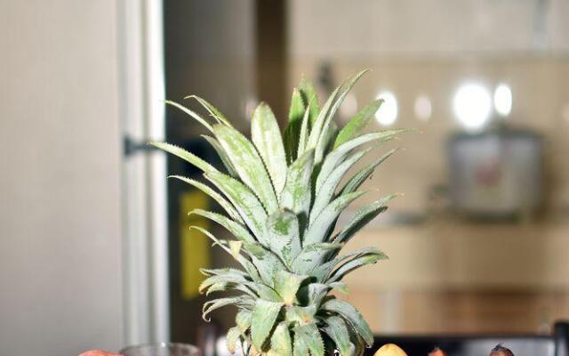 Ashley and Bill's Suites 'N Garden