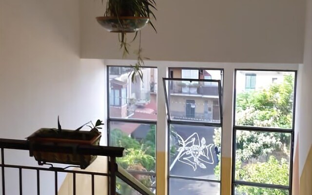 Central Panoramic