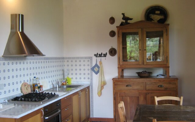 Agriturismo il Poderino