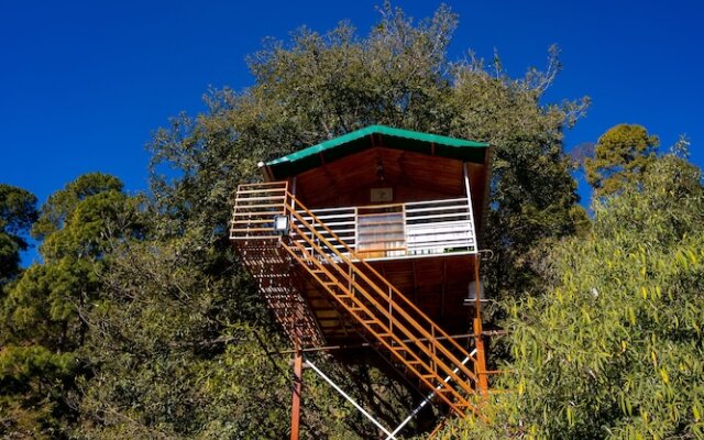 The Cocoon Camps & Nature Resorts