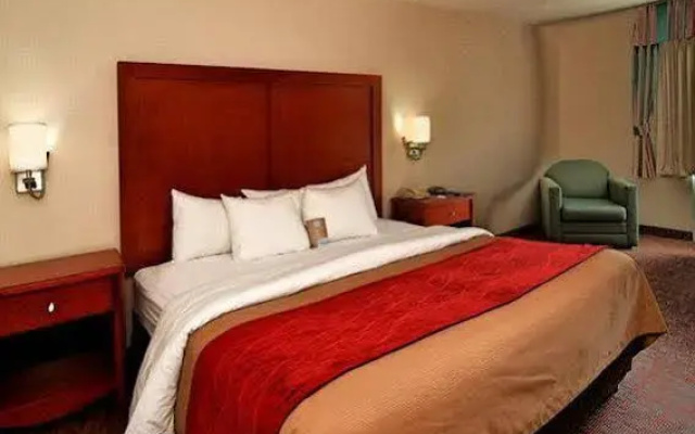 Comfort Inn Historic Area
