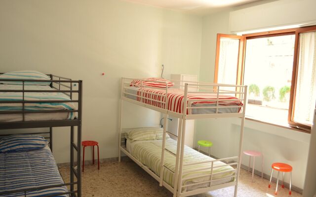 Olive Tree - Hostel