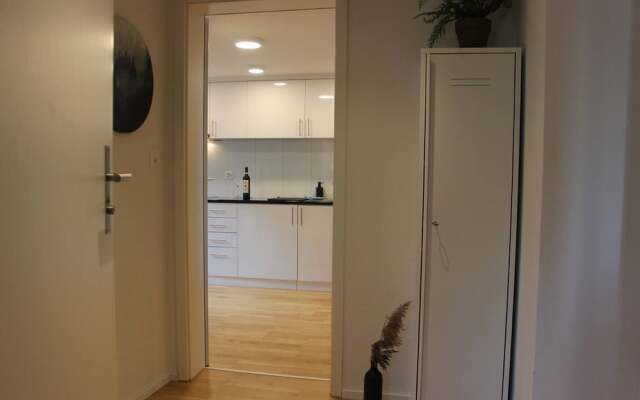 Completely Renovated Apartment Near the Train Station and the Center
