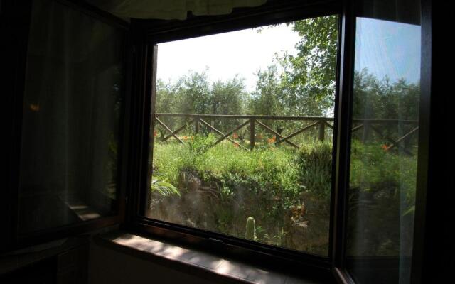 Agriturismo San Vincenzo