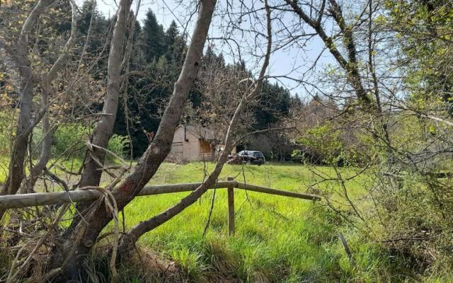 Wood Cabin by the River - for Nature Lovers