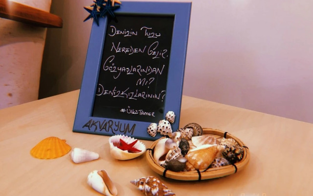 Butik Akvaryum