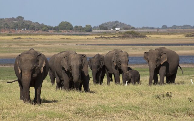 Sat Nam Village Hotel
