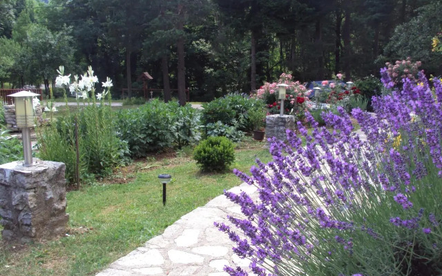 PLITVICE LAKES KONAK Daic