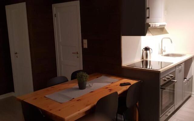 Oppdal Alpintun Stølen ski in - ski out