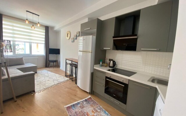 Business-friendly Residence Flat in Fikirtepe