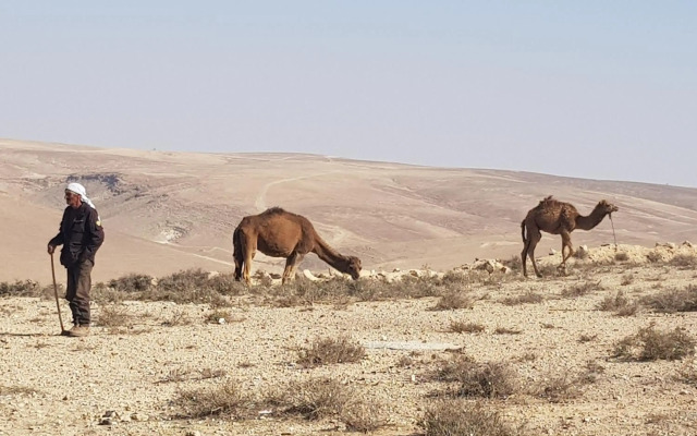 Sun, Mountain & Adventure - Boutique