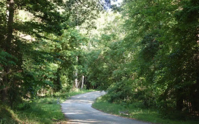 Serenity Pointe Bed and Breakfast