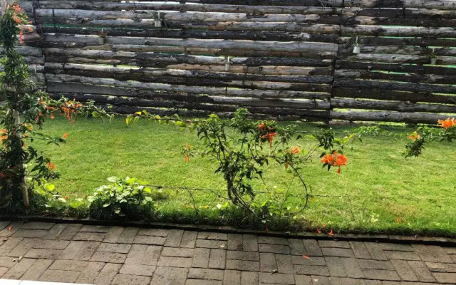 Bird of Paradise Lodge