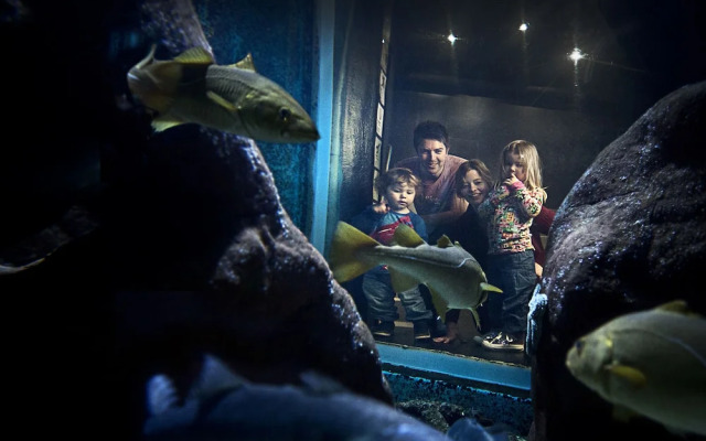 Strand Hostel & Hotel