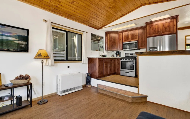 Bear Forest Cabin #2553