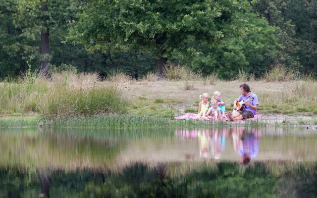 Stately, Luxury Villa With 3 Bathrooms, 2 km. From Appelscha