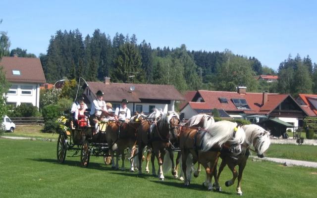 Landhotel Haflingerhof