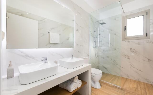 Senses Suite Tessera